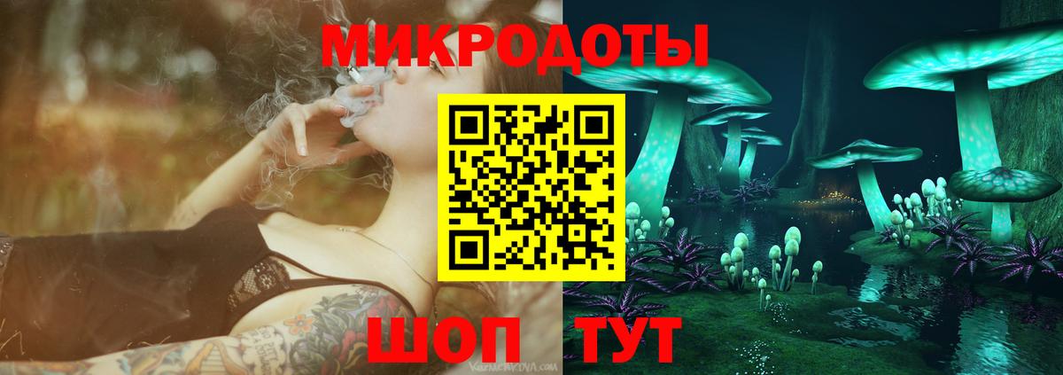 Псилоцибиновые грибы Psilocybine cubensis  что такое наркотик  Камышлов  Вход с VPN  Галлюциногенные грибы Psilocybe 